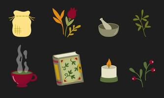 Herbology set design elements. Medical, magical herbs and tools in a cartoon flat style vector