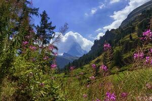 Matterhorn, Zermatt, Switzerland photo