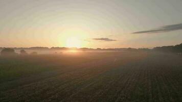 aéreo ver de el amanecer terminado un campo video