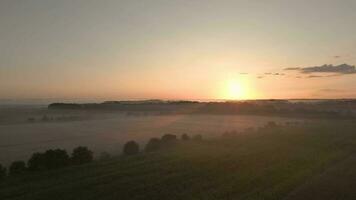 ein Sonnenaufgang Über ein nebelig Landschaft video