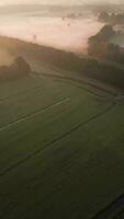 aéreo ver de un autopista en el niebla video