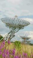 a large array of radio telescopes in a field video