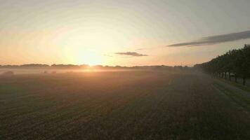 antenne visie van de zonsopkomst over- een veld- video