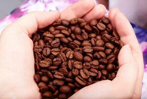 Coffee beans in hands photo