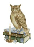 Wise Owl on a stack of books. Watercolor illustration of bird a symbol of wisdom and knowledge. Hand drawn clipart on isolated background. Drawing of educational school notebooks with candle light vector