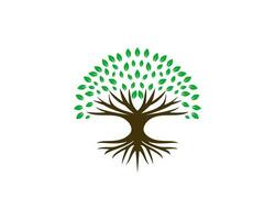 resumen vibrante árbol logo diseño, raíz vector. sencillo árbol icono logo diseño inspiración aislado en blanco antecedentes vector