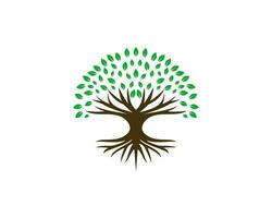 Abstract vibrant tree logo design, root vector. Simple Tree icon logo design inspiration isolated on white background vector