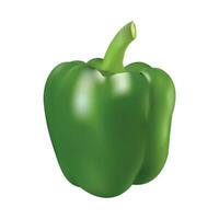 capsicum vector art mesh tool