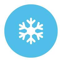 Snowflakes and Snowfall vector