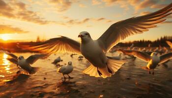 Seagull flying, sunset freedom, animals in the wild, spread wings generated by AI photo
