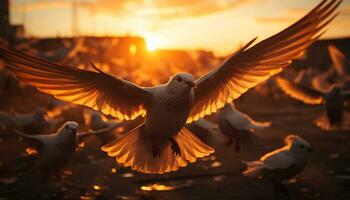 Flying seagull at sunset, spreading wings in tranquil mid air motion generated by AI photo