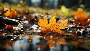 Autumn leaf falling, vibrant colors reflect on tranquil pond generated by AI photo