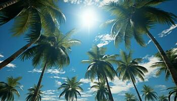 idílico atardecer, vibrante palma árbol, tranquilo playa, tropical paraíso generado por ai foto