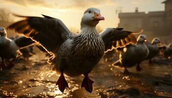 un hermosa Gaviota volador terminado el puesta de sol en el línea costera generado por ai foto