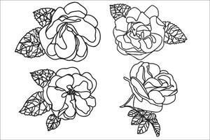 Black and white line art flower illustration. Rose outline, contour, illustration with leaves. Black thin contour decoration. vector