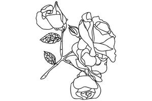 Black and white line art flower illustration. Rose outline, contour, illustration with leaves. Black thin contour decoration. vector