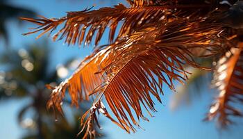 Nature beauty in vibrant colors  green, orange, and bright sunlight generated by AI photo