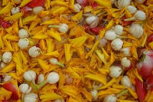 Water rose petals marigold petals and jasmine flowers in a large bowl. photo