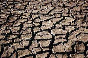 Arid soil with background. photo