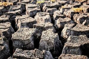 Arid soil with texture. photo