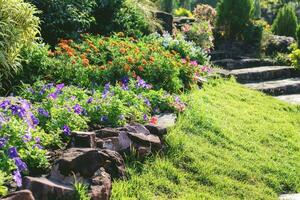 Flower of decoration in garden. photo