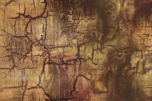 Abstract vector grunge surface texture background photo