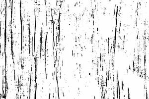 Abstract vector grunge surface texture background photo