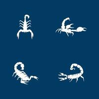 Scorpion icon and symbol vector template