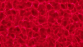 Red pink flowing sun lights on waved surface. Waving water surface background. Slow floating liquid backdrop. Wavy pool space creative motion design. video