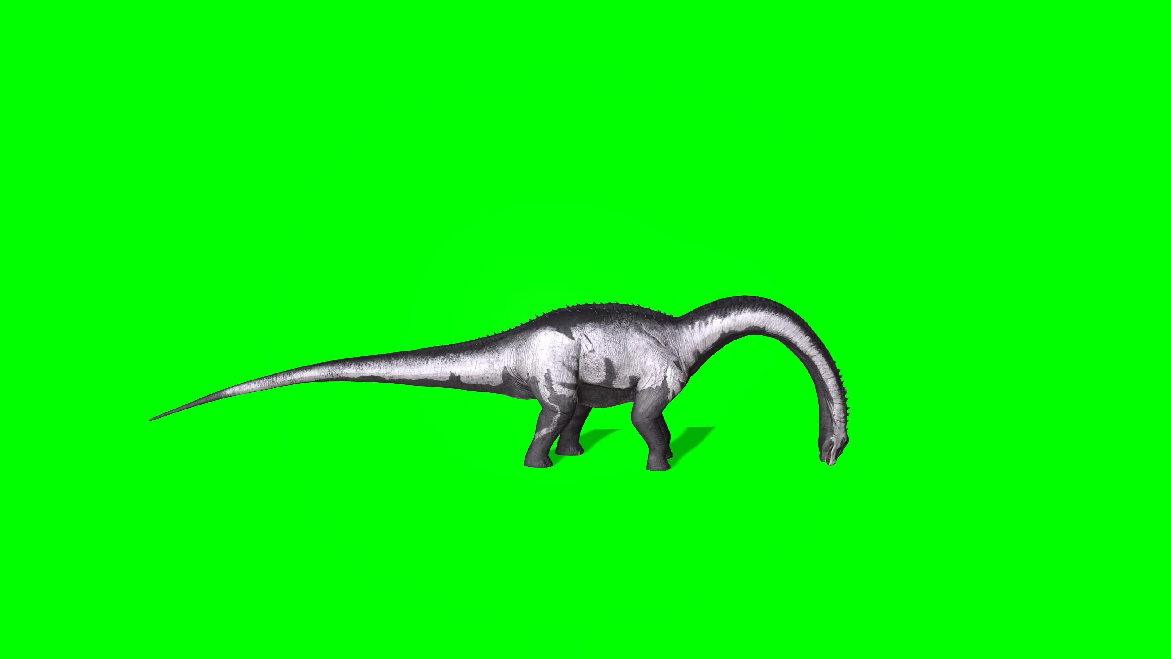 Dinosaur Green Screens #3 on Make a GIF