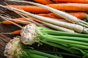 Assortment of fresh vegetables. Carrot garlic kohlrabi onion celery cucumber parsnip and radish on table. photo