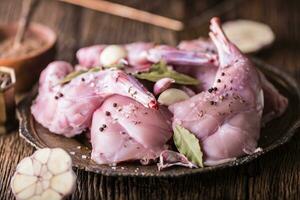 Portioned rabbit ready for heat treatment, grilling or baking. photo