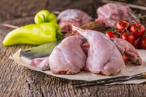 Portioned rabbit ready for heat treatment, grilling or baking. photo