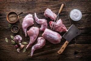 Portioned rabbit ready for heat treatment, grilling or baking. photo