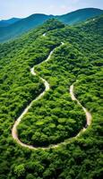 Curved Road Through Vibrant Green Forest AI generated photo