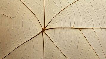 Close up texture leaf structure macro photography, abstract texture, Generative AI illustration photo