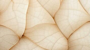 Close up texture leaf structure macro photography, abstract texture, Generative AI illustration photo