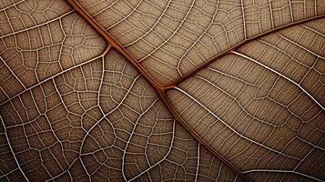 Close up texture leaf structure macro photography, abstract texture, Generative AI illustration photo