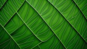 Close up texture leaf structure macro photography, abstract texture, Generative AI illustration photo