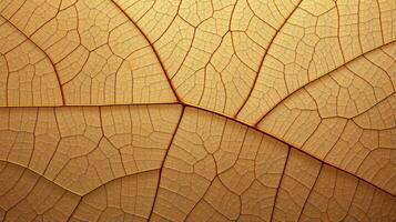 Close up texture leaf structure macro photography, abstract texture, Generative AI illustration photo