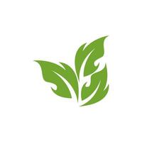verde hoja naturaleza planta conceptual símbolo vector ilustración