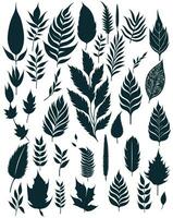 silhouette Leaf set vector. vector