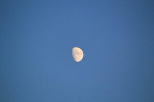 Moon in the blue night photo