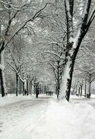 Walkers in Plainpalais place by winter, Geneva, Switzerland photo