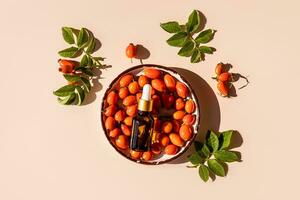 A cosmetic bottle with a white lid, a dropper with a natural facial skin care product lies in a wooden bowl on fresh rose hips. Top view photo