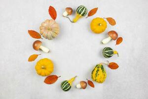 Fall round wreath flat lay template with colorful pumpkins, mushrooms and fallen leaves on gray concrete background. Autumn mockup border with decoration. Top view. Copy space. photo