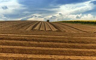 Uneven lines in a field photo