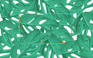 les plantes avec carré Cadre. copie espace png