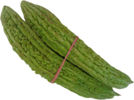 verde amargo melón, amargo calabaza o amargo squash png