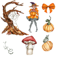 Watercolor hand drawn set of autumn with dry wood, pumpkins, mushroom and witch. png